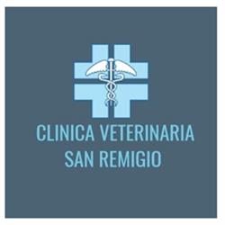 Clinica Veterinaria S. Remigio