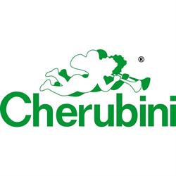 Cherubini Strumenti Musicali Roma