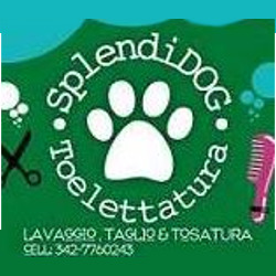 Splendidog