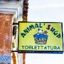Animali Domestici, Articoli ed Alimenti - Vendita al Dettaglio