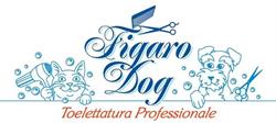 Figaro Dog