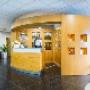 Gallery Professionale