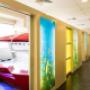 Gallery Professionale
