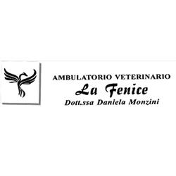 Ambulatorio Veterinario La Fenice
