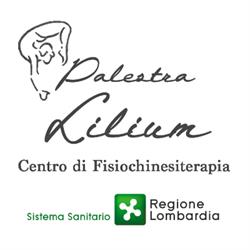Palestra Lilium Fisiokinesiterapia
