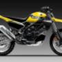 Gallery Professionale