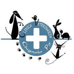 Clinica Veterinaria Chignolo Po