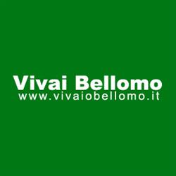Vivai Bellomo
