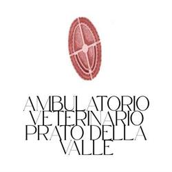 Ambulatorio Veterinario Prato Della Valle