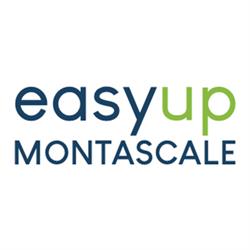 Easy Up Montascale
