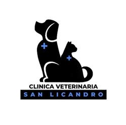 Clinica Veterinaria San Licandro