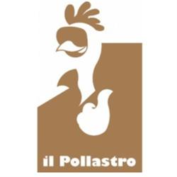 Il Pollastro