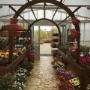 Negozio di Fiori