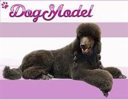 Dog Model