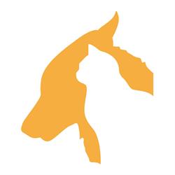 Centro Veterinario Dott.ssa Silvia Bucalossi