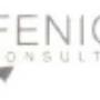 Fenice Consulting