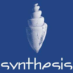 SYNTHESIS S.R.L.