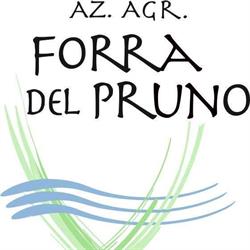 AZ.AGR. FORRA DEL PRUNO DI MENICHETTI MATTEO
