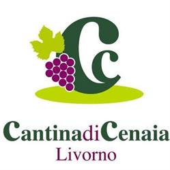 CANTINA DI CENAIA DI LOMBARDI STEFANIA