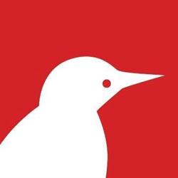 PICCHIO NEWS DI RICCARDO LOMBI
