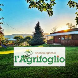 AZ. AGRICOLA L'AGRIFOGLIO DI FALLATI ALFREDO