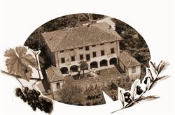 AZIENDA AGRICOLA IL CASTELLETTO DI LUSSANA PIETRO UMBERTO