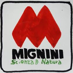 MAUTONE CAROLINA