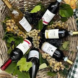 AZ. AGR. LA GRILLA DI BRICOLA PAOLA