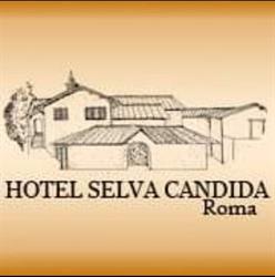 HOTEL SELVA CANDIDA SOCIETA' A RESPONSABILITA' LIMITATA