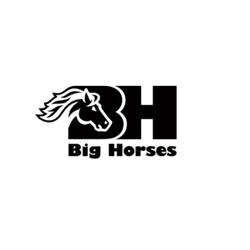 Big Horses di Bologna Barbara