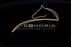 Domina S.A.S. Di R. Benassai & C.