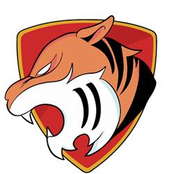 VIGILANZA TIGER S.R.L.