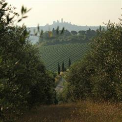 FATTORIA DI FUGNANO E BOMBERETO SOCIETA' AGRICOLA S.A.S. DI LAURA DELL'AIRA E ROBERTA LO CASTO