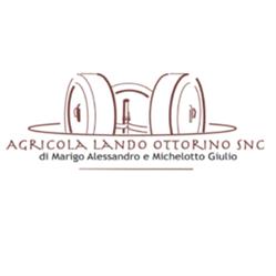 AGRICOLA LANDO OTTORINO S.N.C. DI MARIGO ALESSANDRO E MICHELOTTO GIULIO