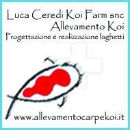 Luca Ceredi Koi Farm snc