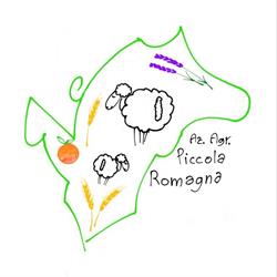 AZIENDA AGRICOLA PICCOLA ROMAGNA