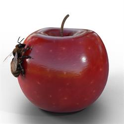 APPLEBEE DESIGN S.A.S. DI JUSTIN APPLEBEE E C.