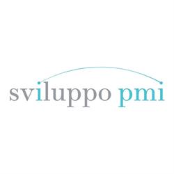 SVILUPPO PMI S.R.L.