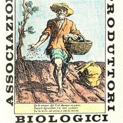AZIENDA AGRICOLA FRATELLI COLLAVO SOCIETA' SEMPLICE