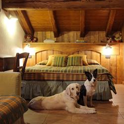 HOTEL DELLA NOUVA S.N.C. DI CURTAZ FEDERICA E CURTAZ MICHELE