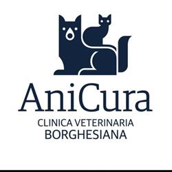 AniCura Clinica Veterinaria Borghesiana