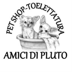 AMICI DI PLUTO DI FIAMMA TOBIA