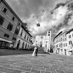 LUCA BALDUCCI