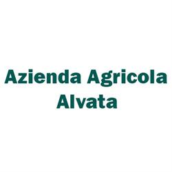 Azienda Agricola Alvata