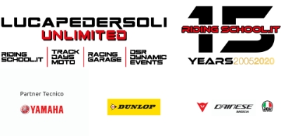 Logo PEDERSOLI PNG
