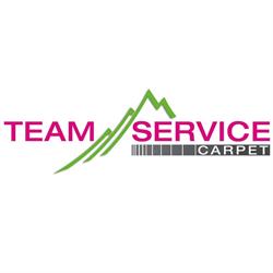 Team Service