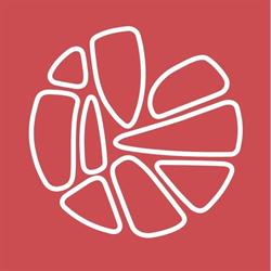 COOPERATIVA SOCIALE CIRCOLO INDUSTRIA SCENICA ONLUS
