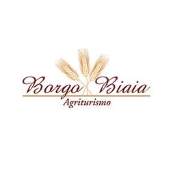 BORGO BIAIA SOCIETA AGRICOLA A RESPONSABILITA LIMITATA SEMPLIFICATA