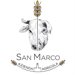 SOCIETA' AGRICOLA SAN MARCO DI MORI S.S.