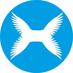 Flying Angels Foundation